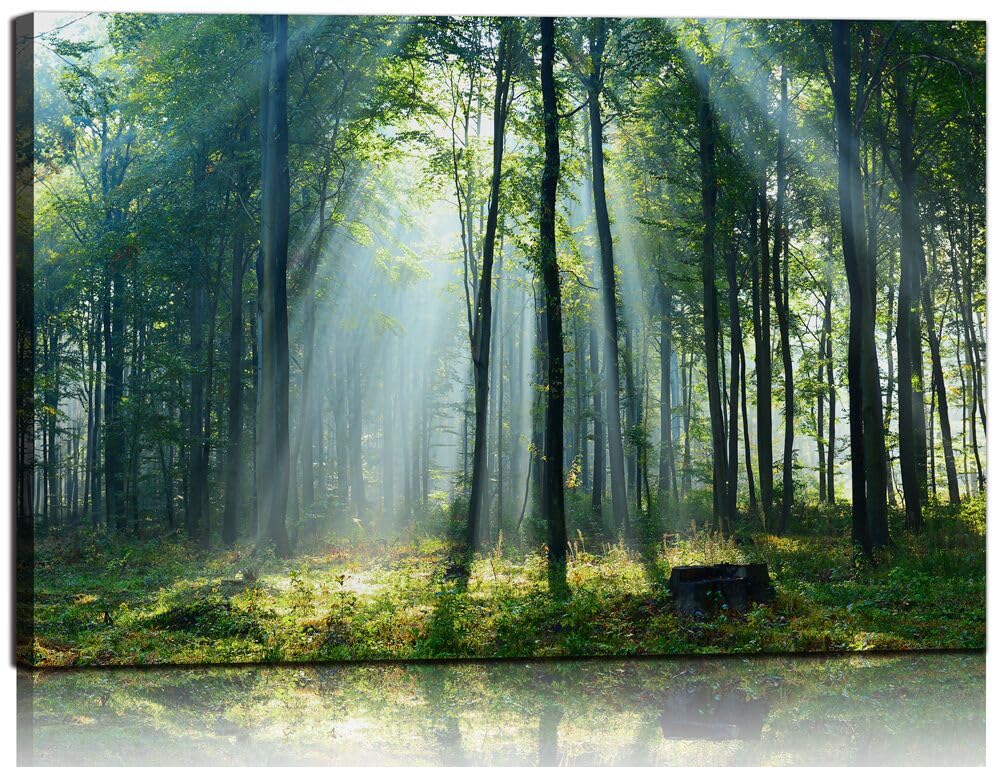 Nature Wall Art Green Forest Canvas Pictures Scenery Wall Art with Sunshine Photo Modern Tree Landscape Art Prints Decor Beautiful Mountain Artwork for Living Room Bedroom Kitchen Home Office Decorations 24x36inch