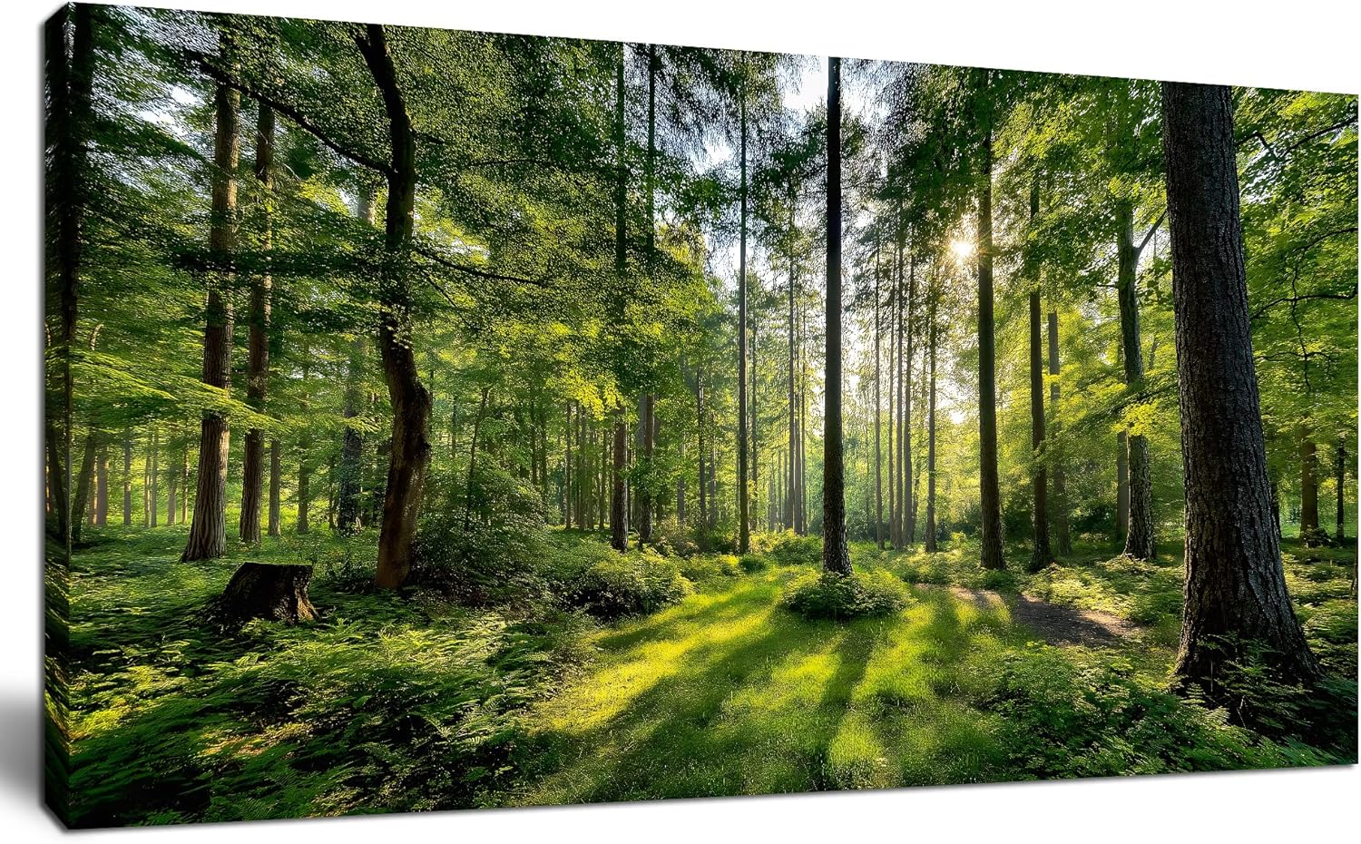 Tarfupth Large Forest Wall Art for Living Room Green Woodland Landscape with Sunlight Modern Nature Wall Decor for Bedroom Office Home Decor 20"x40"