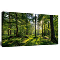 Tarfupth Large Forest Wall Art for Living Room Green Woodland Landscape with Sunlight Modern Nature Wall Decor for Bedroom Office Home Decor 20"x40"