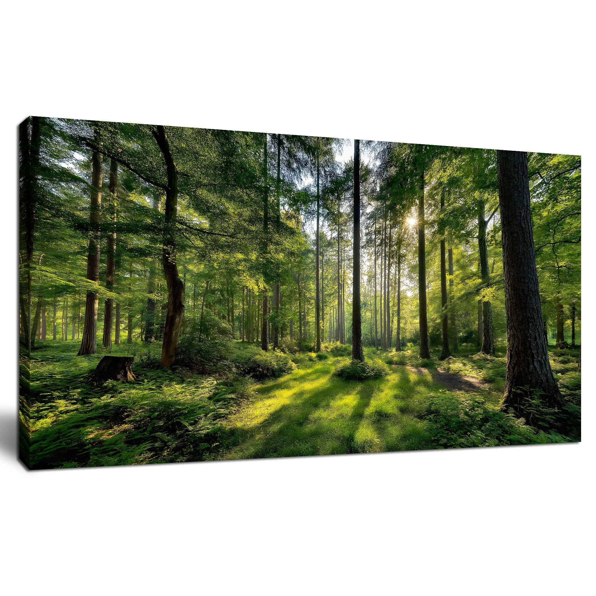 Tarfupth Large Forest Wall Art for Living Room Green Woodland Landscape with Sunlight Modern Nature Wall Decor for Bedroom Office Home Decor 20"x40"